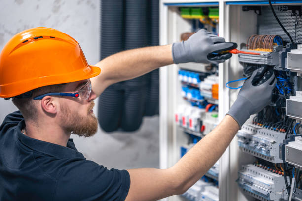 Best Electric Panel Repair  in Duncan Falls, OH